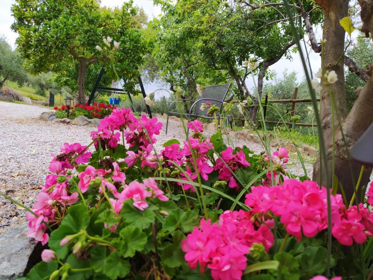 Casa Rural El Bonito Cazalla de la Sierra Esterno foto